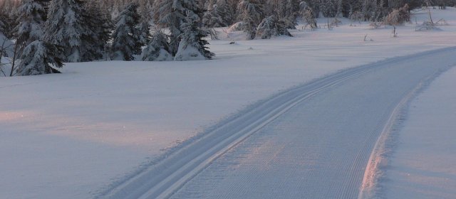 ilustrace na pozadí