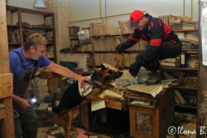 Cvičení psovodů v Jizerských horách