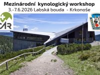 Mezinárodní kynologický workshop Labská bouda – Krkonoše.