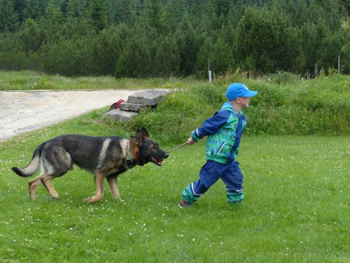 Cvičení kynologické brigády v Jizerských horách