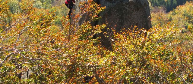 ilustrace na pozadí
