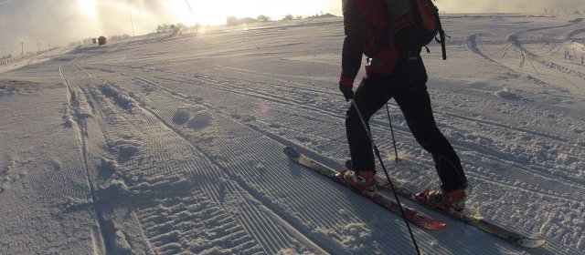 ilustrace na pozadí