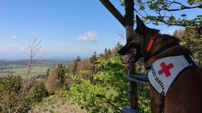 První jarní cvičení kynologů