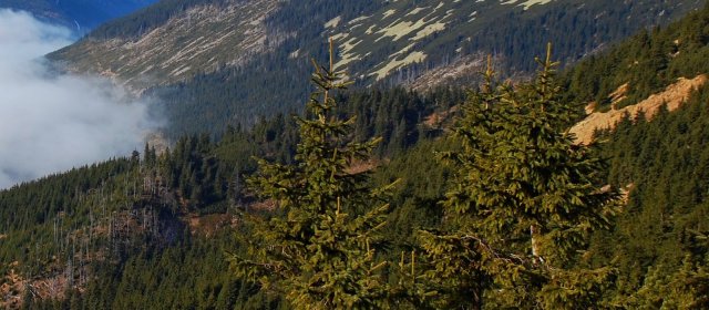 ilustrace na pozadí