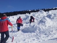 Atestační lavinový kynologický kurz