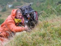 Kynologická rallye a atesty slovenské kynologické brigády