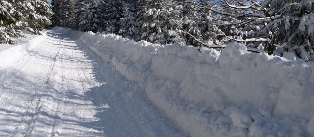 ilustrace na pozadí