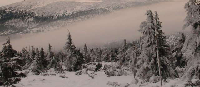 ilustrace na pozadí