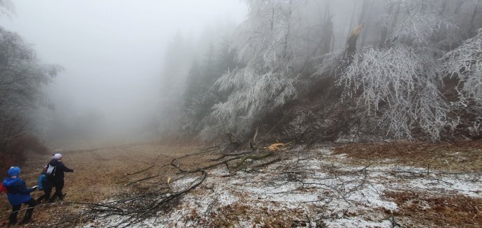 Nebezpečná námraza