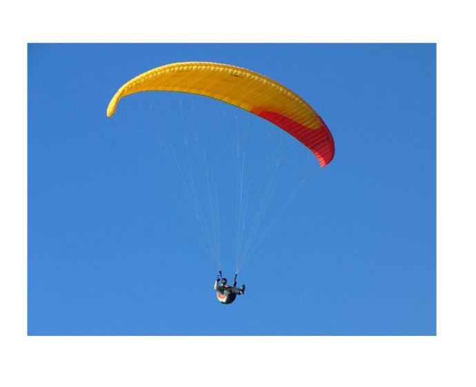 Paraglidista v koruně stromu