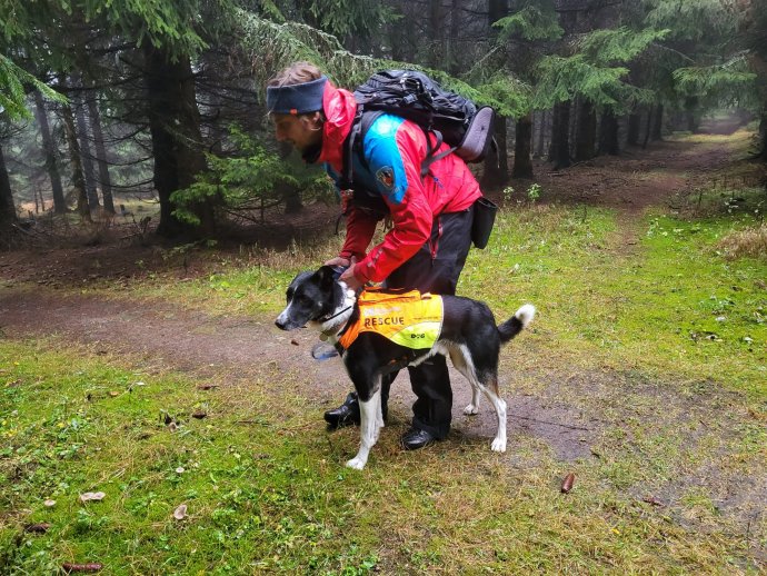 Náročný týden psovodů a jejich čtyřnohých svěřenců.