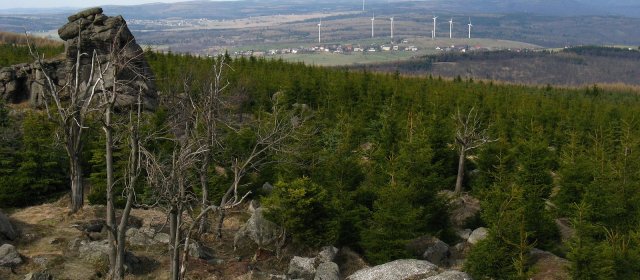 ilustrace na pozadí