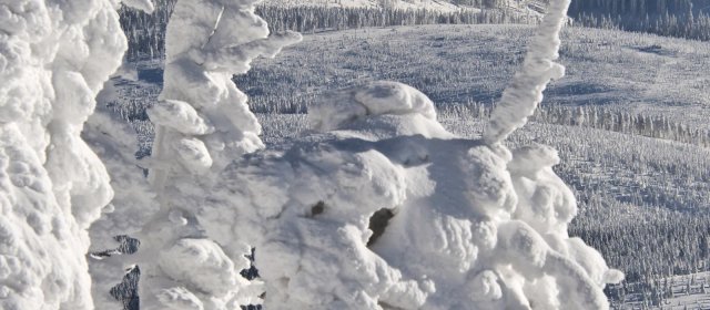 ilustrace na pozadí