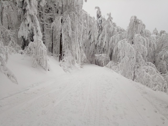 HS varuje před pohybem v lese