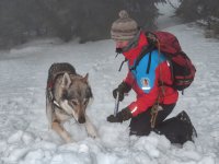 Psi HS našli letos už 3 pohřešované osoby