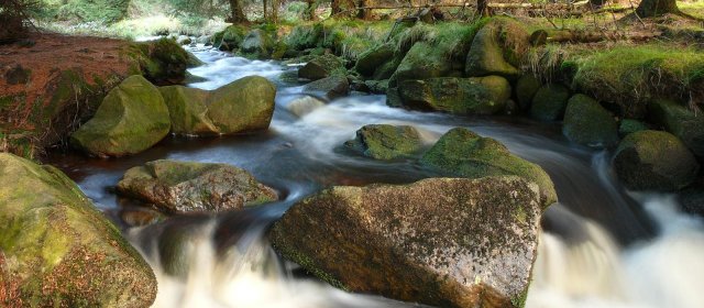 ilustrace na pozadí