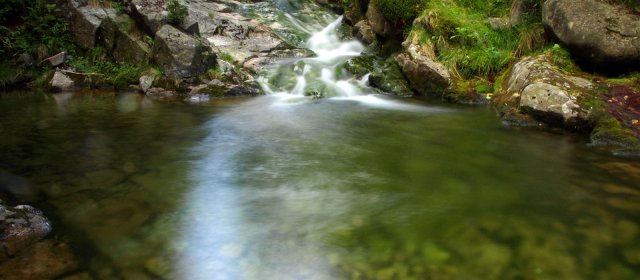 ilustrace na pozadí