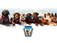 Atestační kynologický kurz