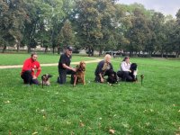 Cena Statečné psí srdce putuje na Šumavu