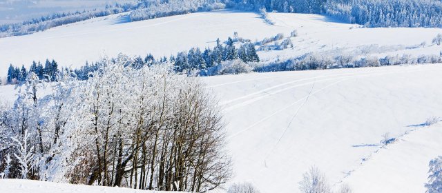 ilustrace na pozadí