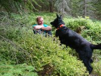 Kynologické cvičení ve Strážném