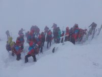 V Krkonoších trénují lavinoví psi