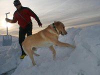 Lavinový kurz - Krkonoše 2012