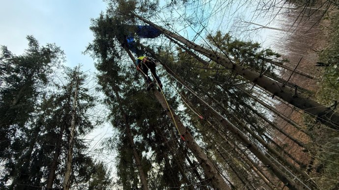 Paraglidista v Beskydech na stromě