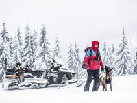 Atestační lavinový kynologický kurz