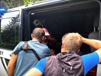 Několikanásobné pobodání hmyzem 7 leté holčičky v Krkonoších