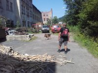 Kynologické cvičení v Jizerských horách