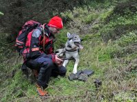 Život na českých horách zachraňuje 13 psů. Víme, proč mezi nimi chybí bernardýn