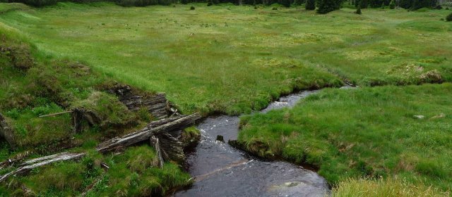 ilustrace na pozadí