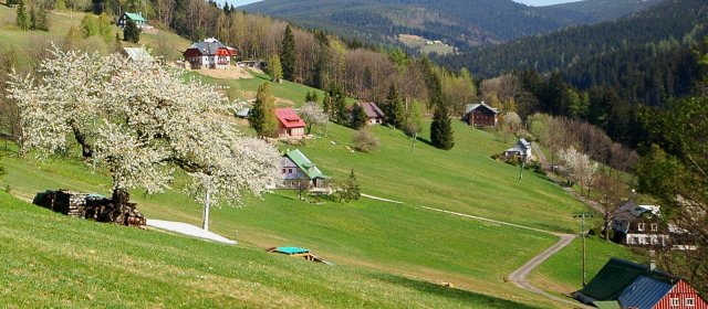 ilustrace na pozadí