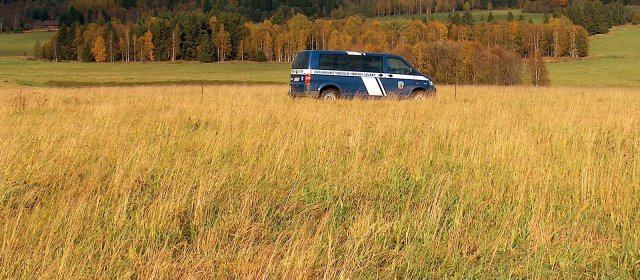 ilustrace na pozadí