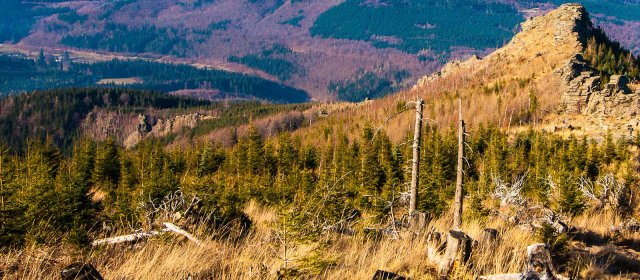 ilustrace na pozadí