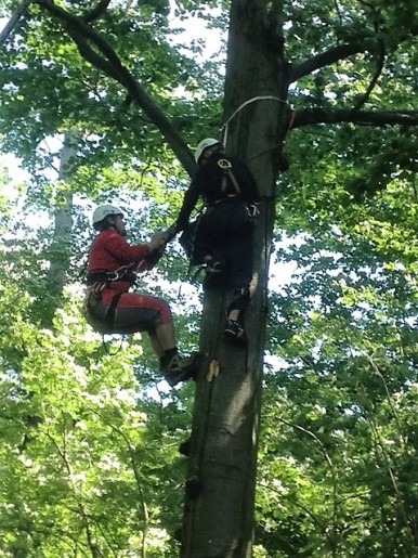 Horský záchranář v koruně stromu u paraglidisty