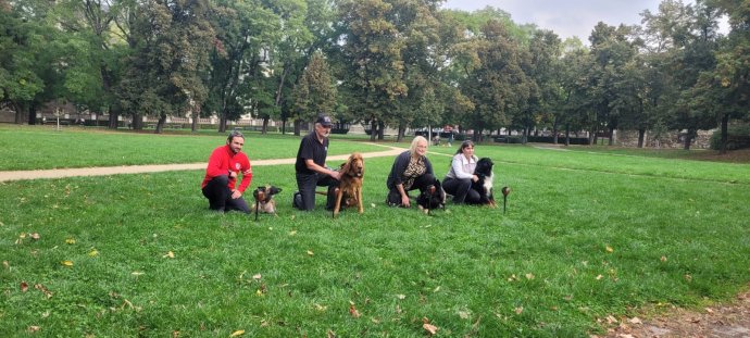 Cena Statečné psí srdce putuje na Šumavu