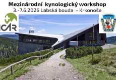 Mezinárodní kynologický workshop Labská bouda – Krkonoše.