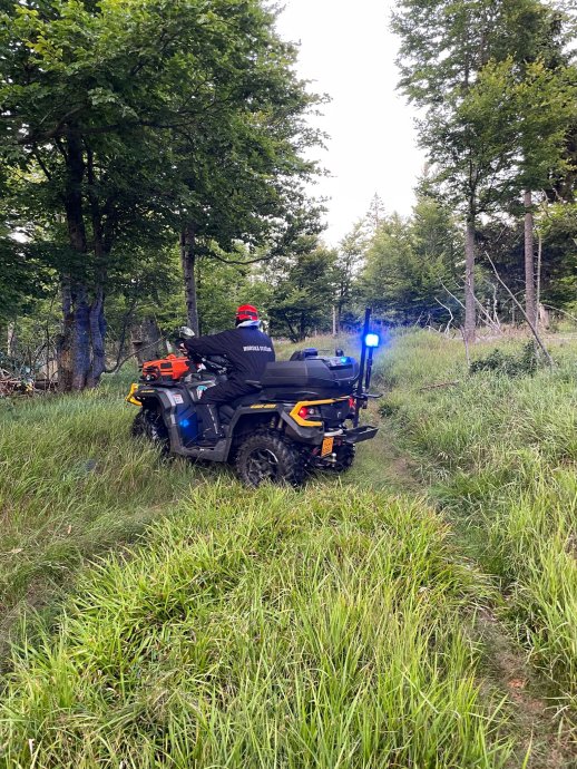 Příhraniční pátráni na Šumavě.