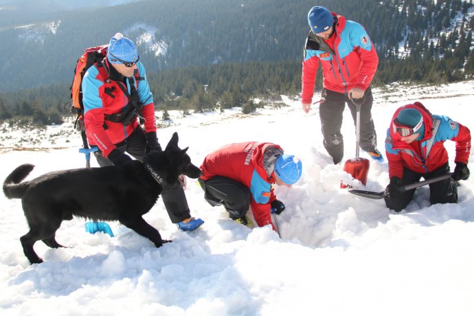 Ohlédnutí za lednovým Mezinárodním lavinovým a kynologickým kurzem