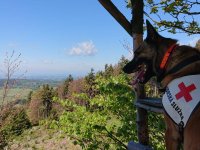 První jarní cvičení kynologů