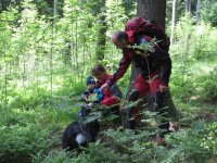 Cvičení kynologické brigády ve Strážném