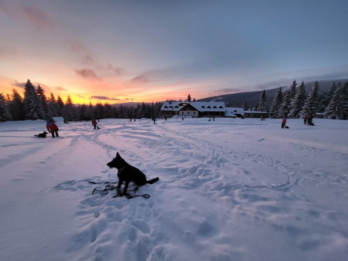 Akcemi nabitý konec ledna.
