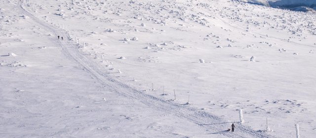 ilustrace na pozadí