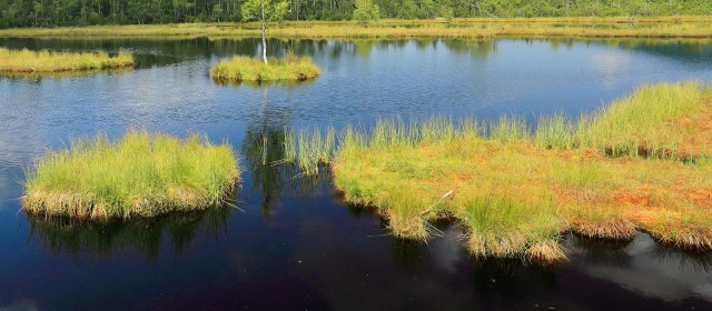 ilustrace na pozadí