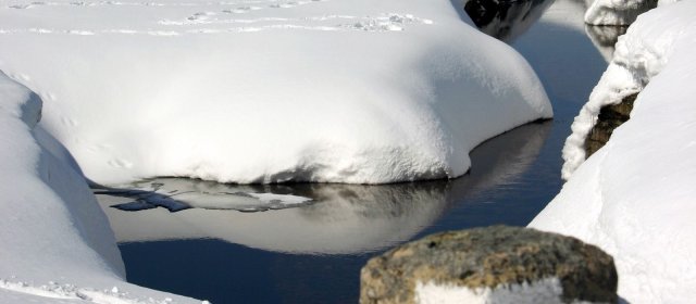 ilustrace na pozadí