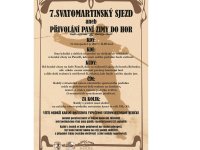 Svatomartinský sjezd