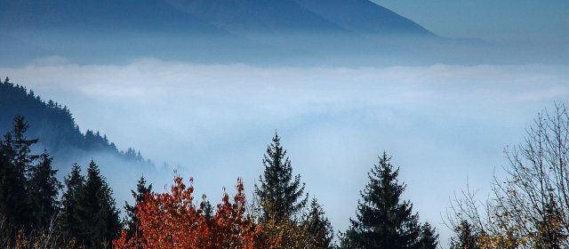 ilustrace na pozadí