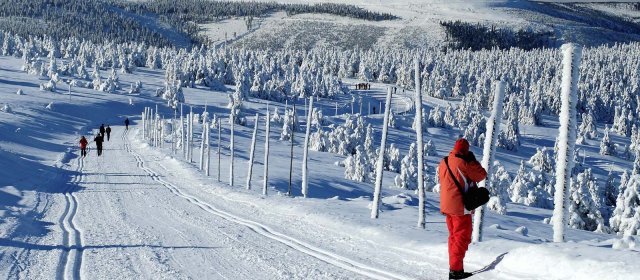 ilustrace na pozadí